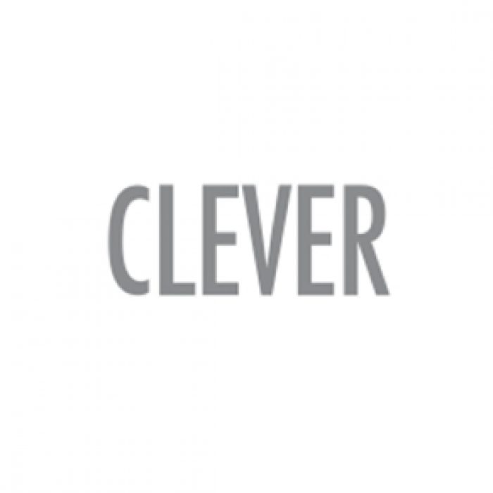 logo-clever